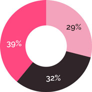 Research Pie Chart